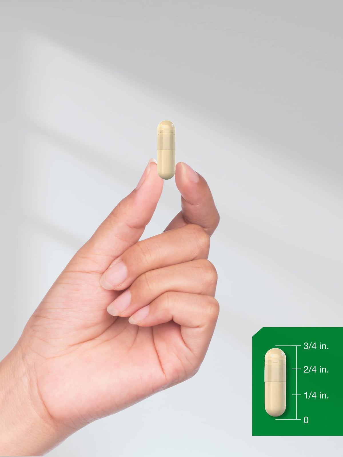 Cinnamon Capsules 150 Count H8479