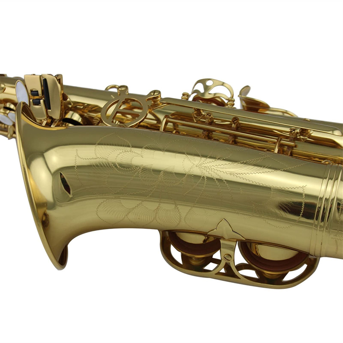 Gold Lacquer Alto Saxophone Set E228