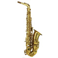 Gold Lacquer Alto Saxophone Set E228