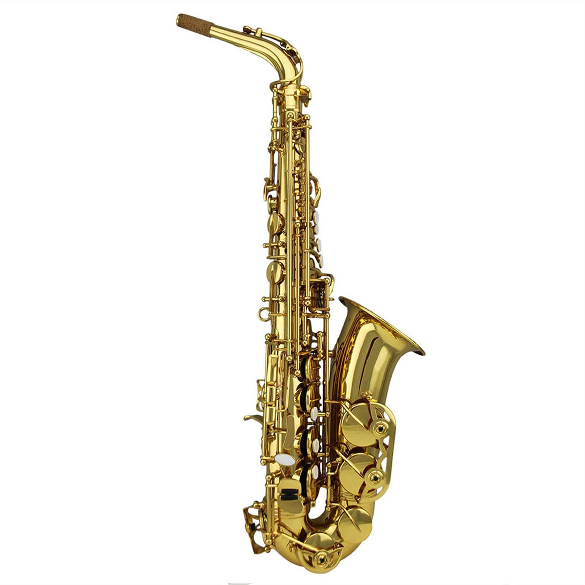 Gold Lacquer Alto Saxophone Set E228