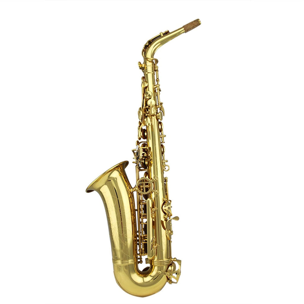 Gold Lacquer Alto Saxophone Set E228