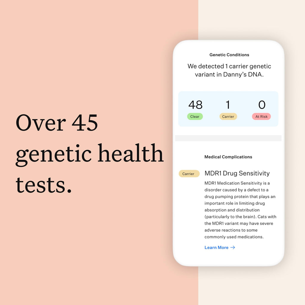 Cat DNA Test Kit, 45 Health Conditions, 1 Pack N9620