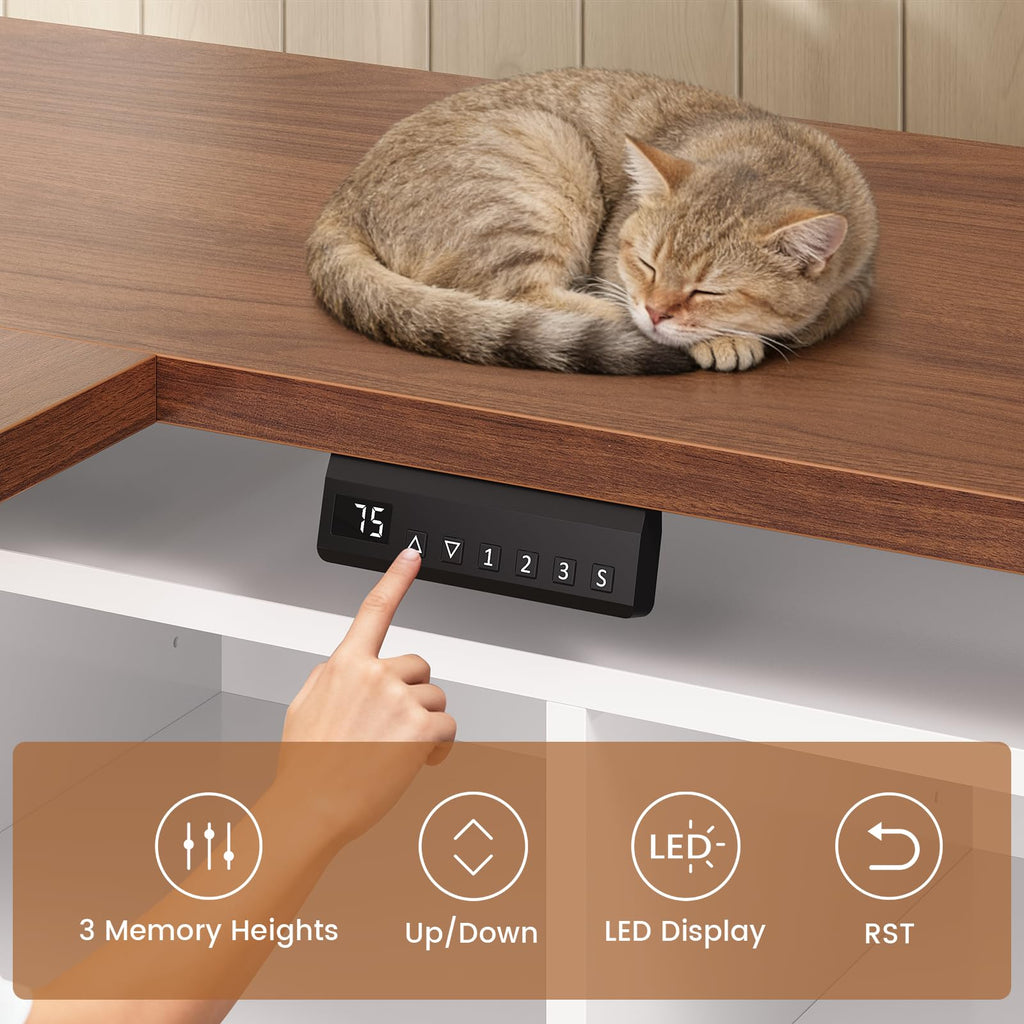 63" L Shaped Electric Standing Desk with Storage L975