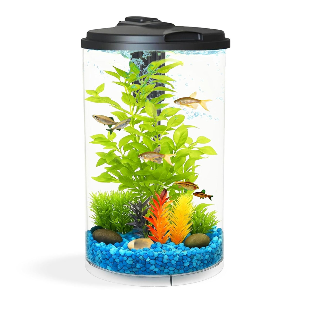 3-Gallon Aquarium with LED Lighting and Power Filter P86616