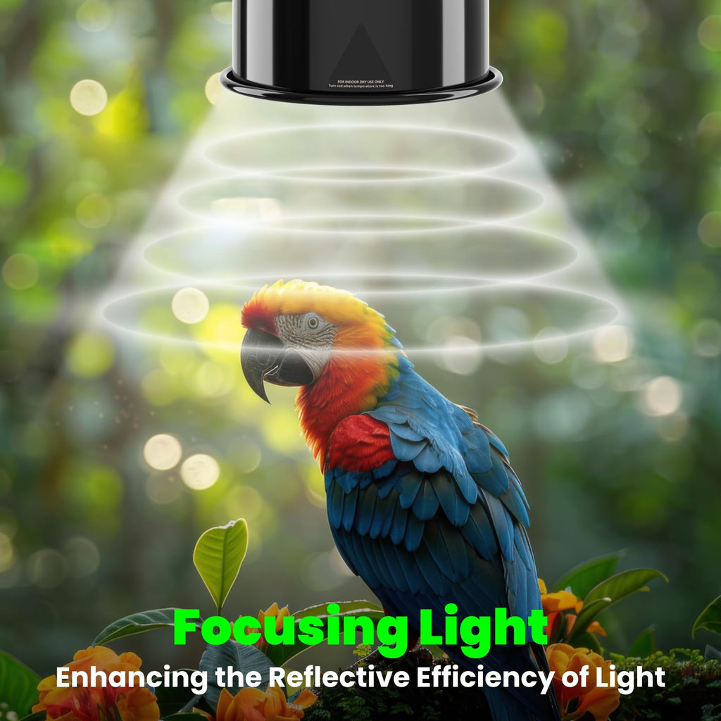 Deep Dome Lampshade with 2.4% UVB Bulb 20W F948