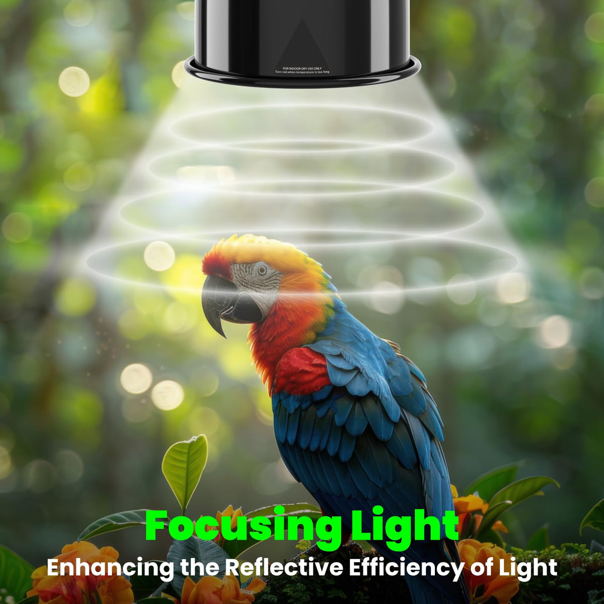 Deep Dome Lampshade with 2.4% UVB Bulb 20W F948