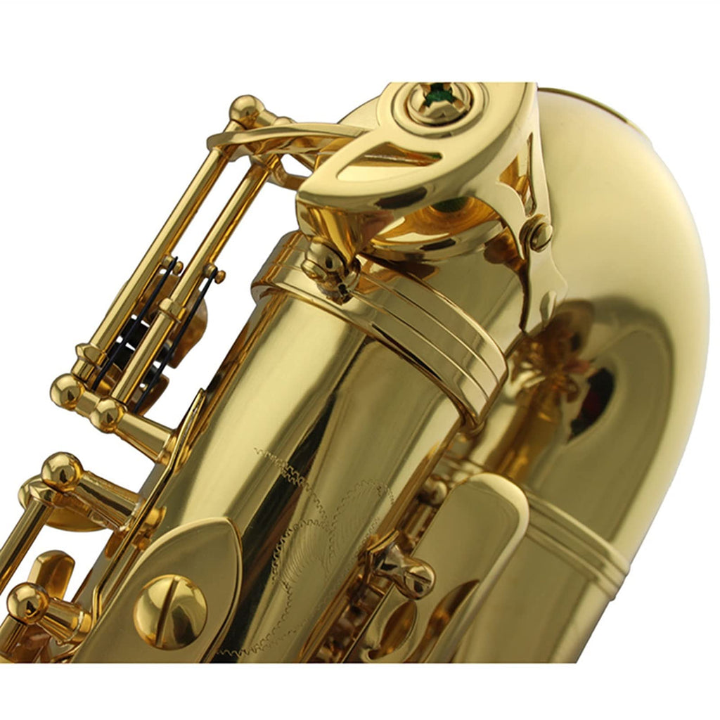 Gold Lacquer Alto Saxophone Set E228