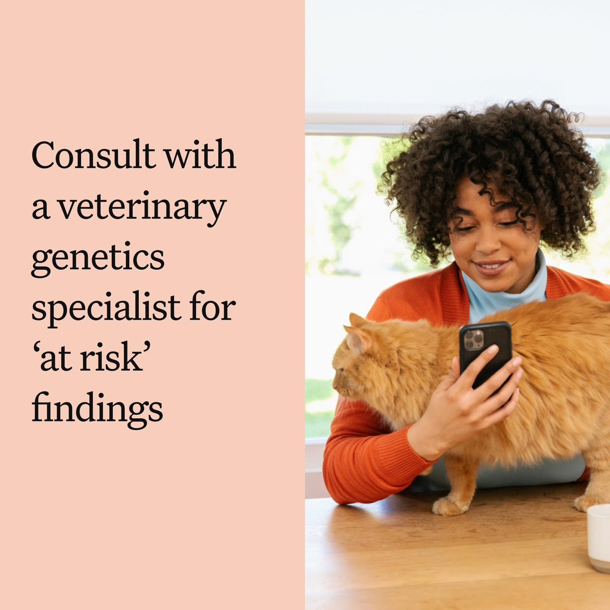 Cat DNA Test Kit, 45 Health Conditions, 1 Pack N9620