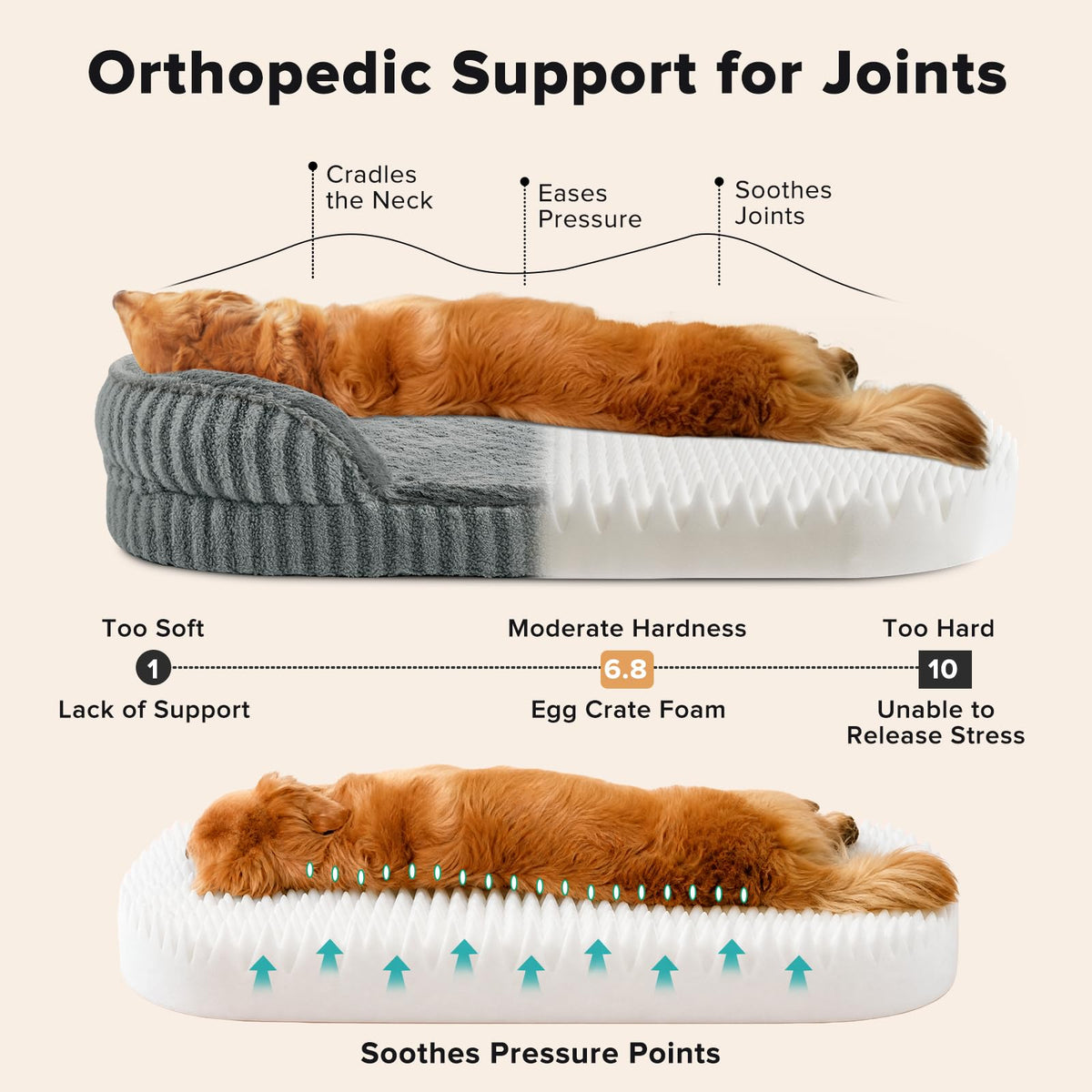 Washable 42" Orthopedic Dog Bed Q9514