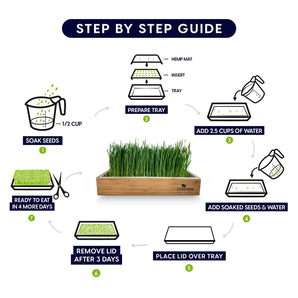 Self-Watering Cat Grass Kit and Refills, 4 Mats and 4 Seed Packets Z724279