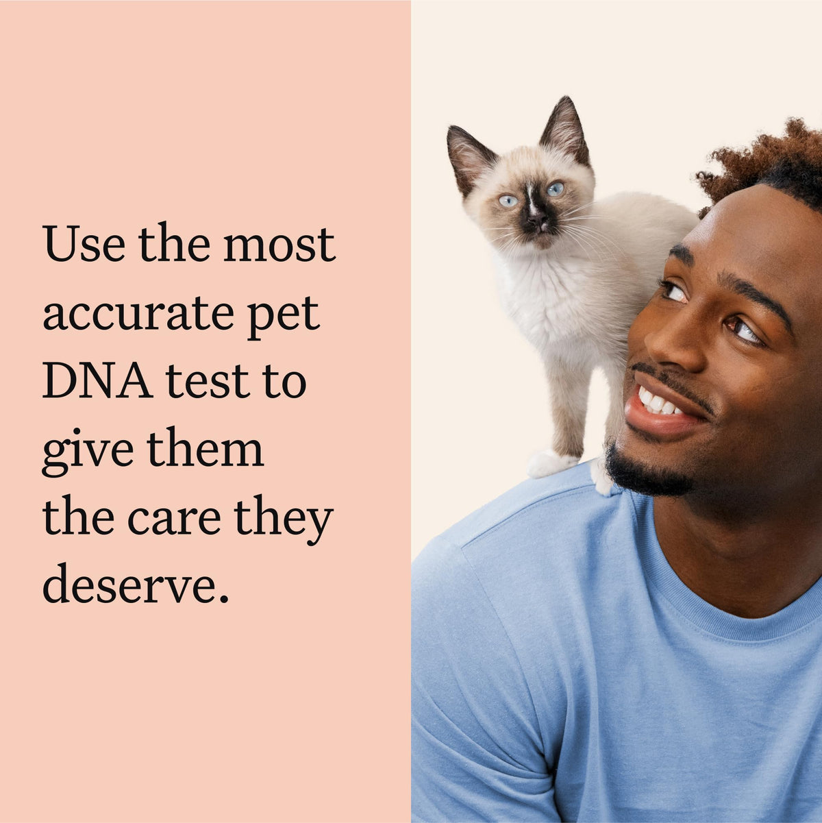 Cat DNA Test Kit, 45 Health Conditions, 1 Pack N9620