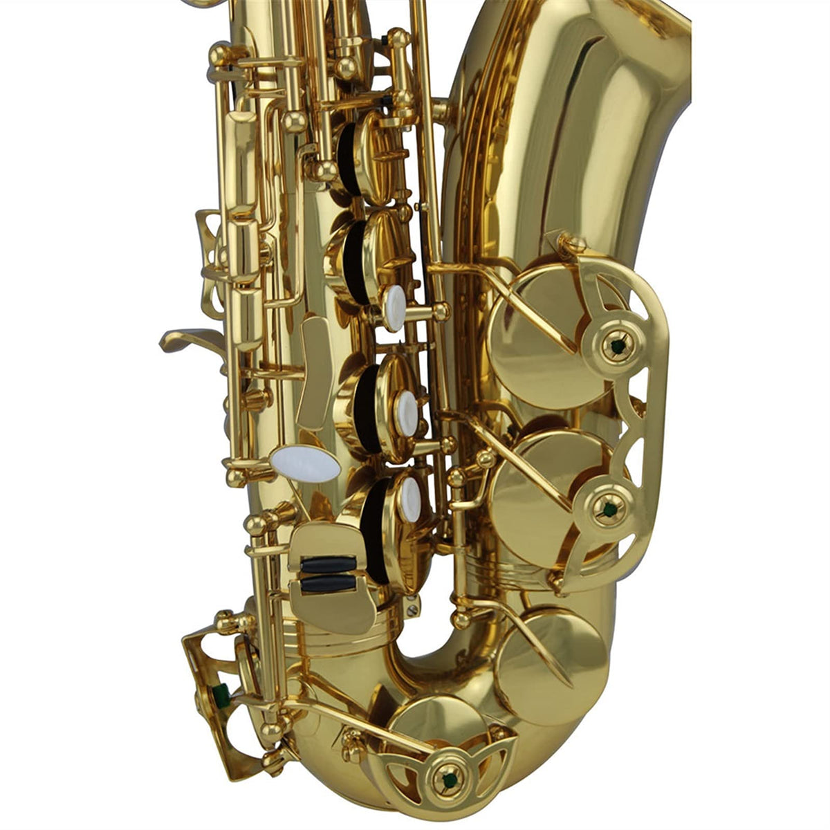 Gold Lacquer Alto Saxophone Set E228