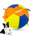 22" Dog Herding Ball with Straps I522766