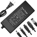 42V 2A/1.5A Universal 5 Plugs Fast Electric Charger for 36V Lithium Battery O34955