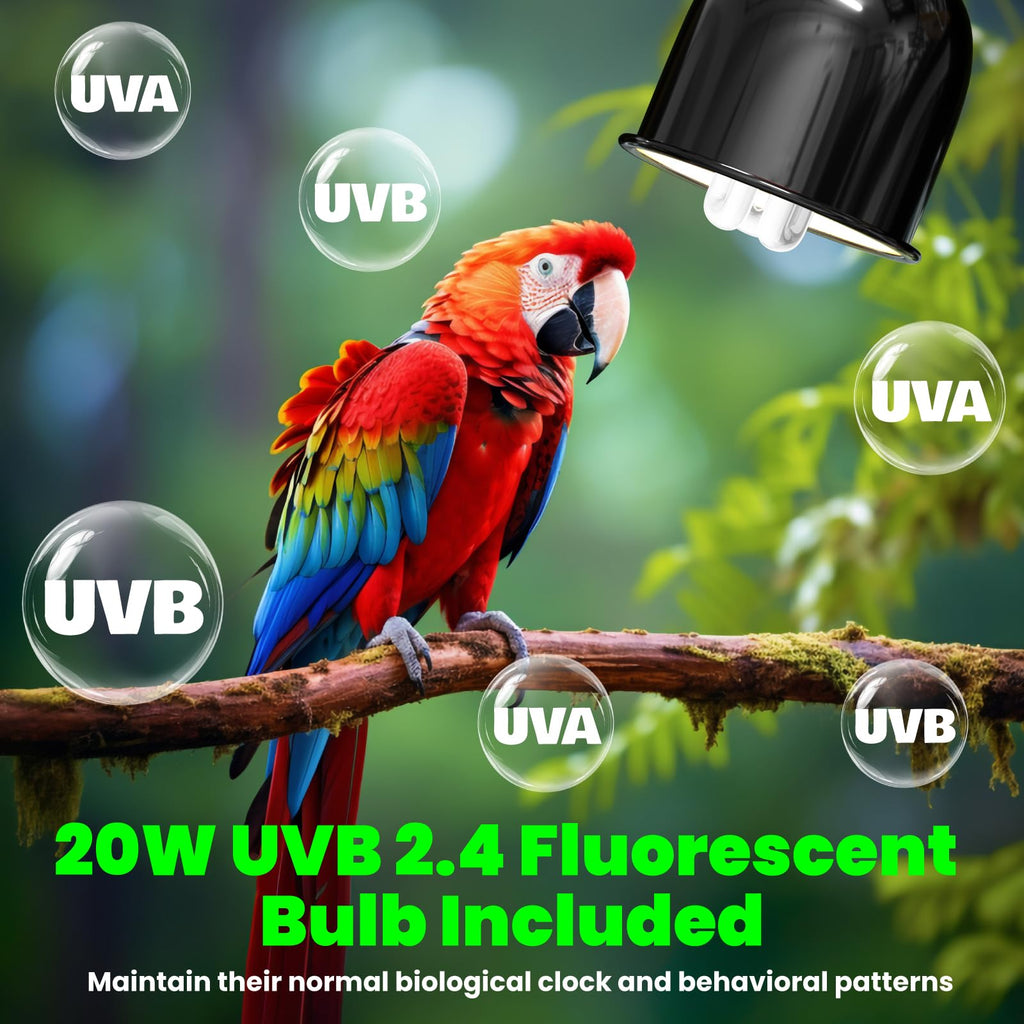 Deep Dome Lampshade with 2.4% UVB Bulb 20W F948