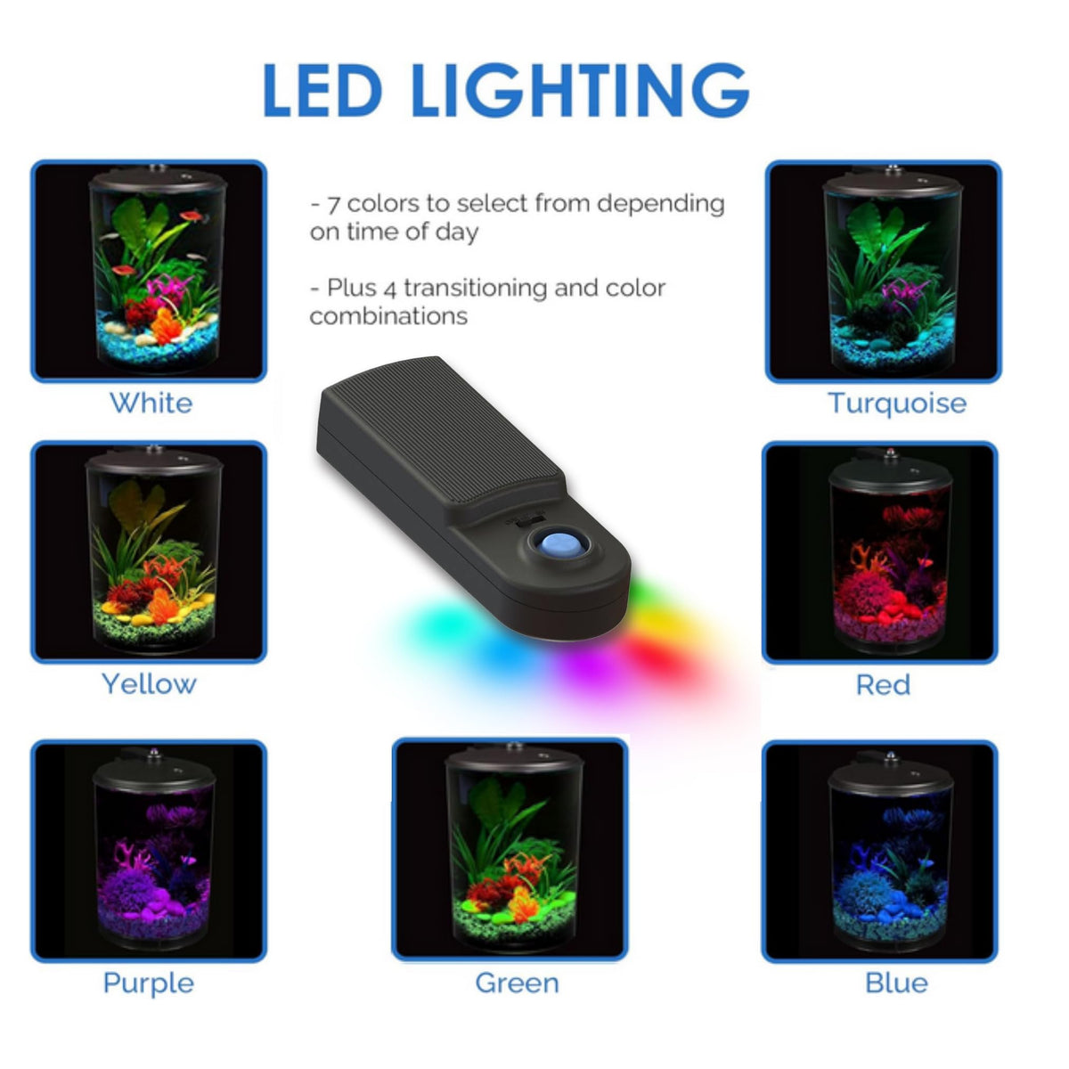 3-Gallon Aquarium with LED Lighting and Power Filter P86616