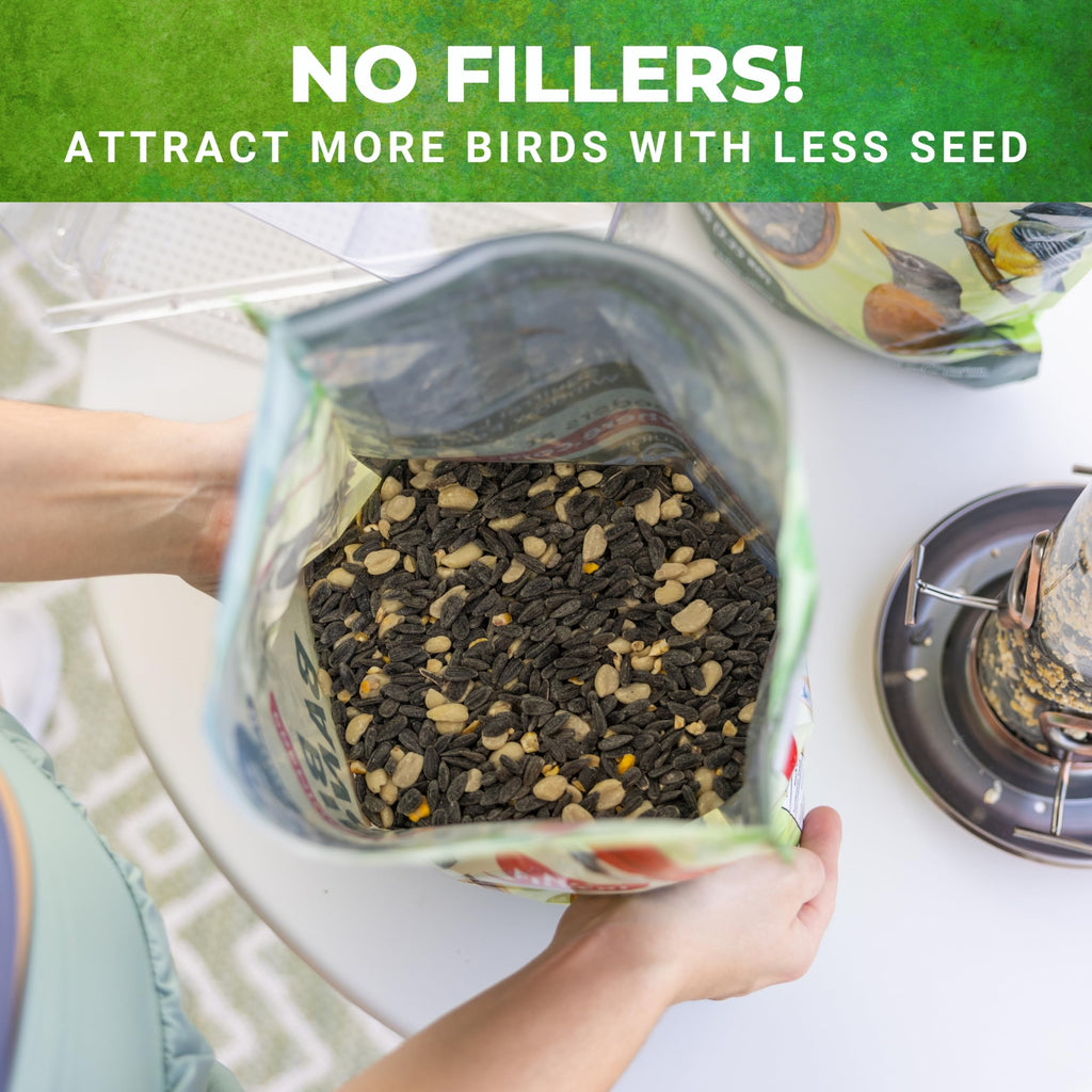 Bird Seed for Outside Feeders A420535