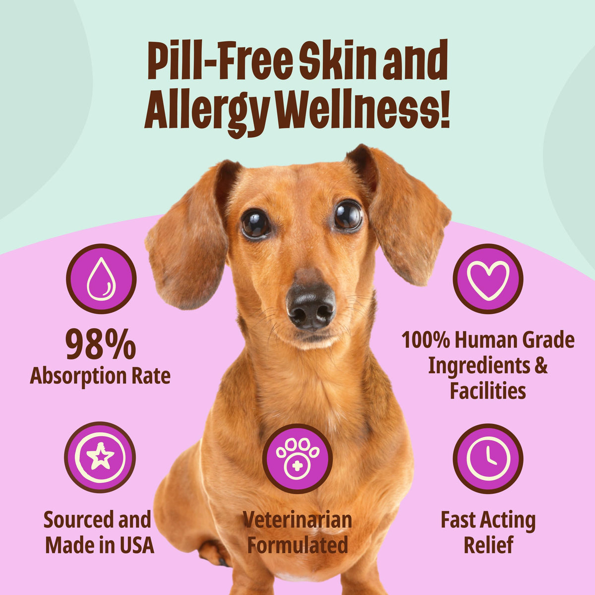 Omega-3 Fish Oil for Senior Dogs F5994