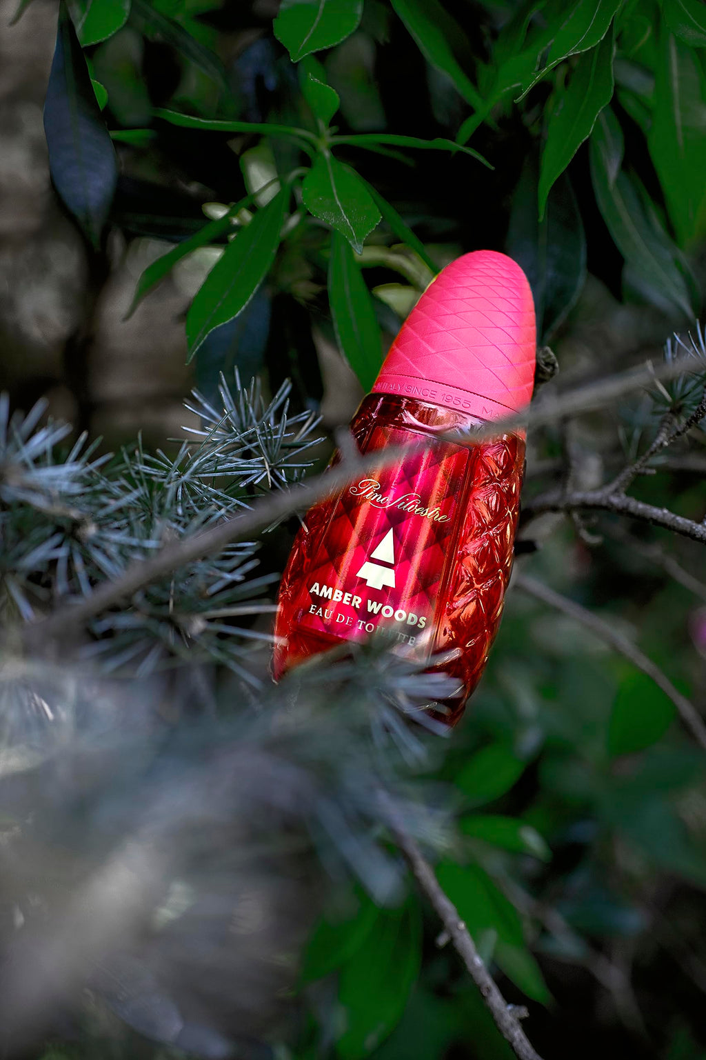 Aromatic Woody Spicy 4.2 oz EDT Spray A8300