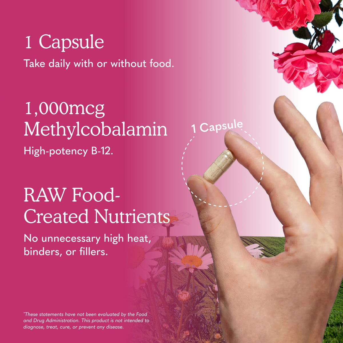 Vegan B-12 Methylcobalamin 30 Capsules H5574