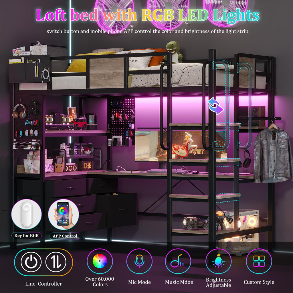 Twin Size Loft Bed with Desk and 5 Drawer L4893