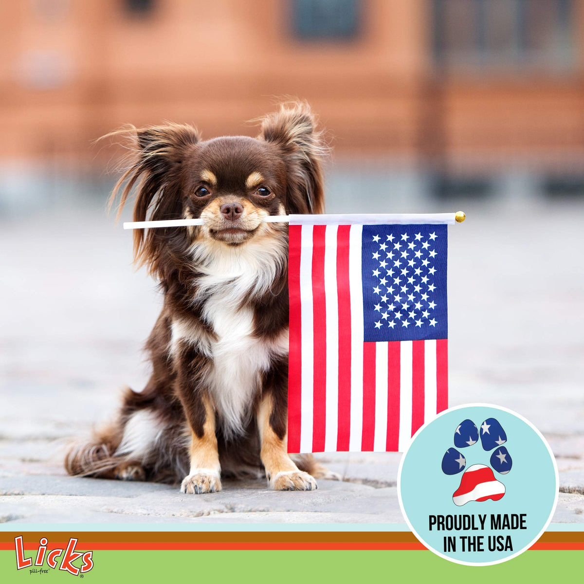 Omega-3 Fish Oil for Senior Dogs F5994