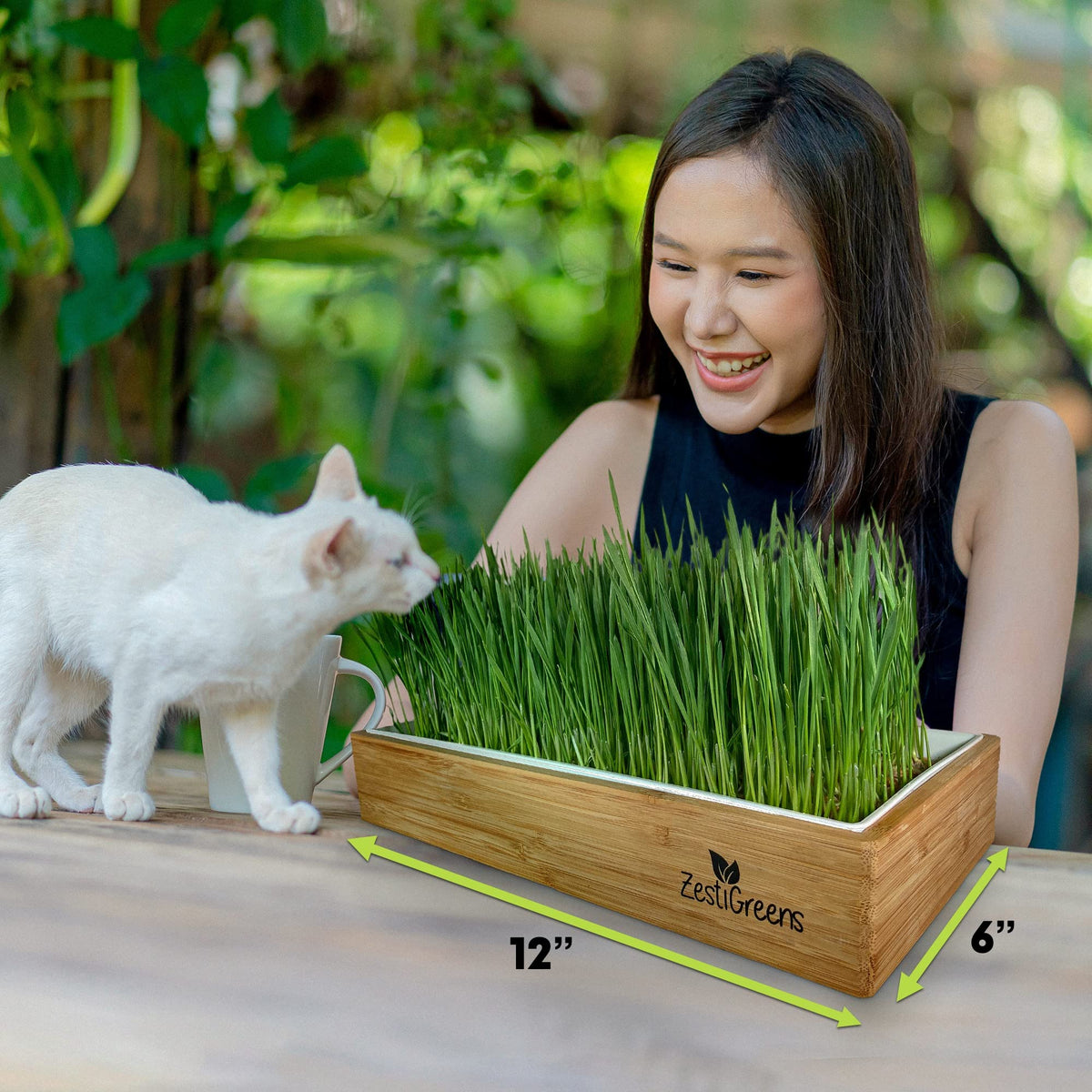 Self-Watering Cat Grass Kit and Refills, 4 Mats and 4 Seed Packets Z724279