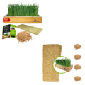 Self-Watering Cat Grass Kit and Refills, 4 Mats and 4 Seed Packets Z724279