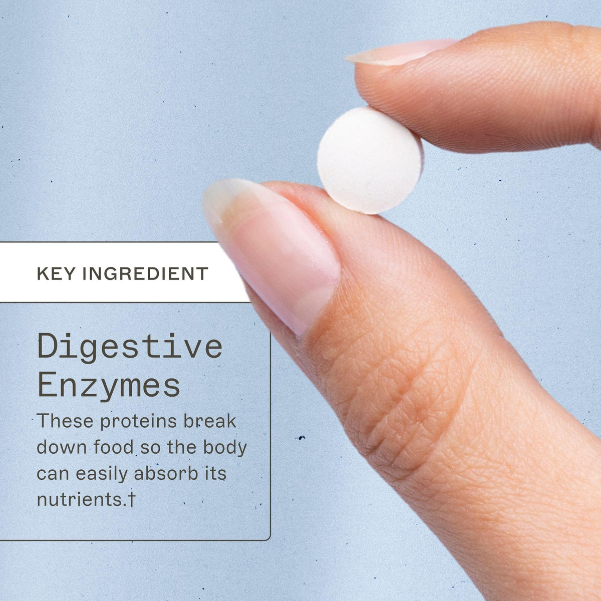 Chewable Digestive Enzymes 180 Tablets K9928