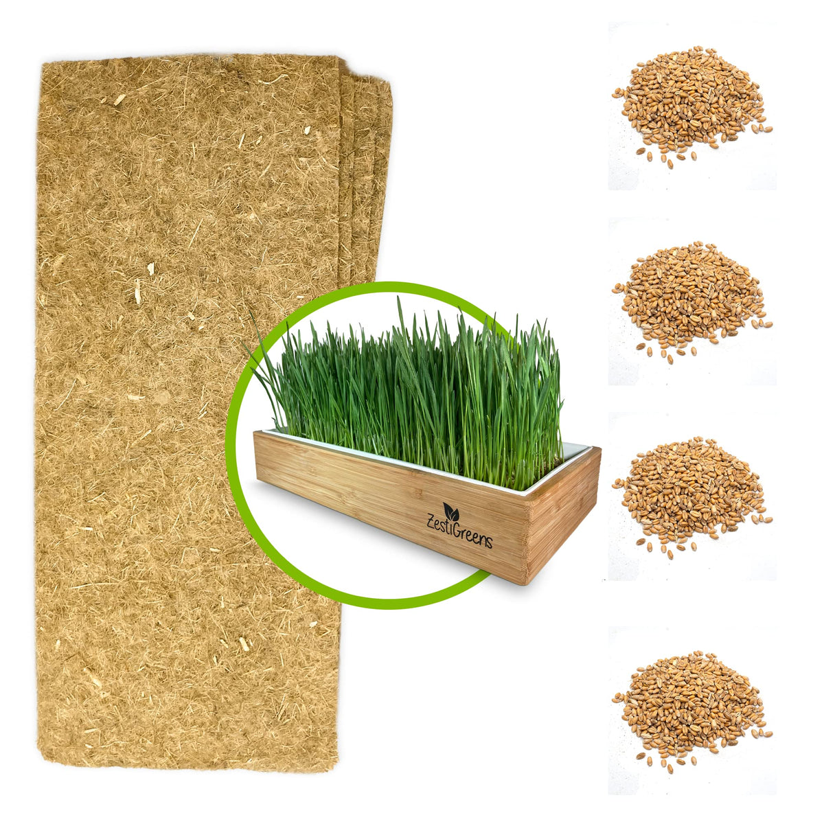 Self-Watering Cat Grass Kit and Refills, 4 Mats and 4 Seed Packets Z724279