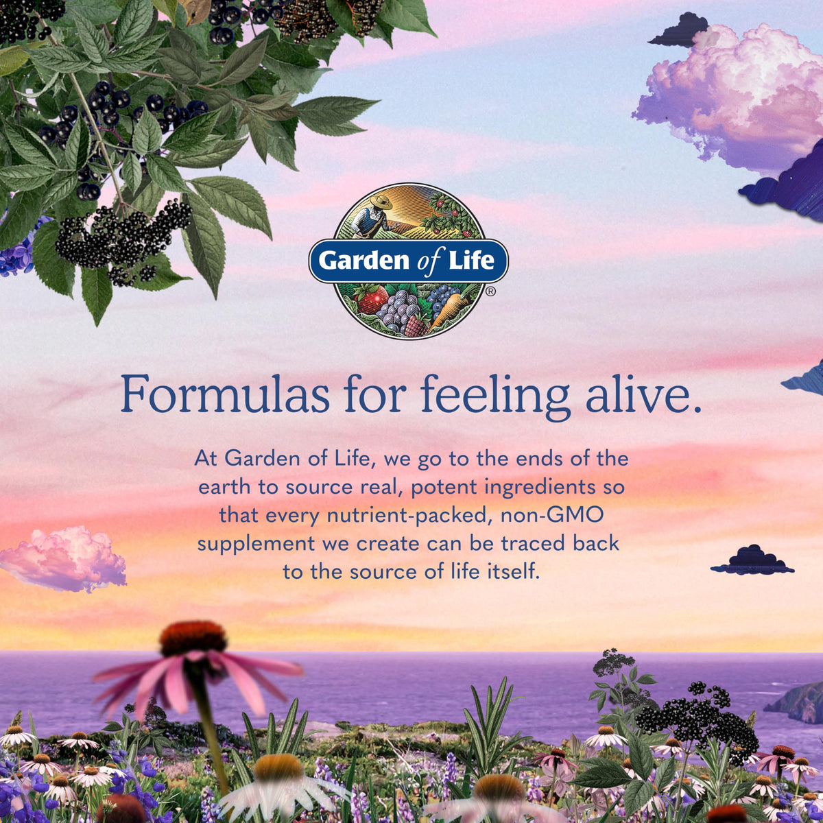 Vegan B-12 Methylcobalamin 30 Capsules H5574
