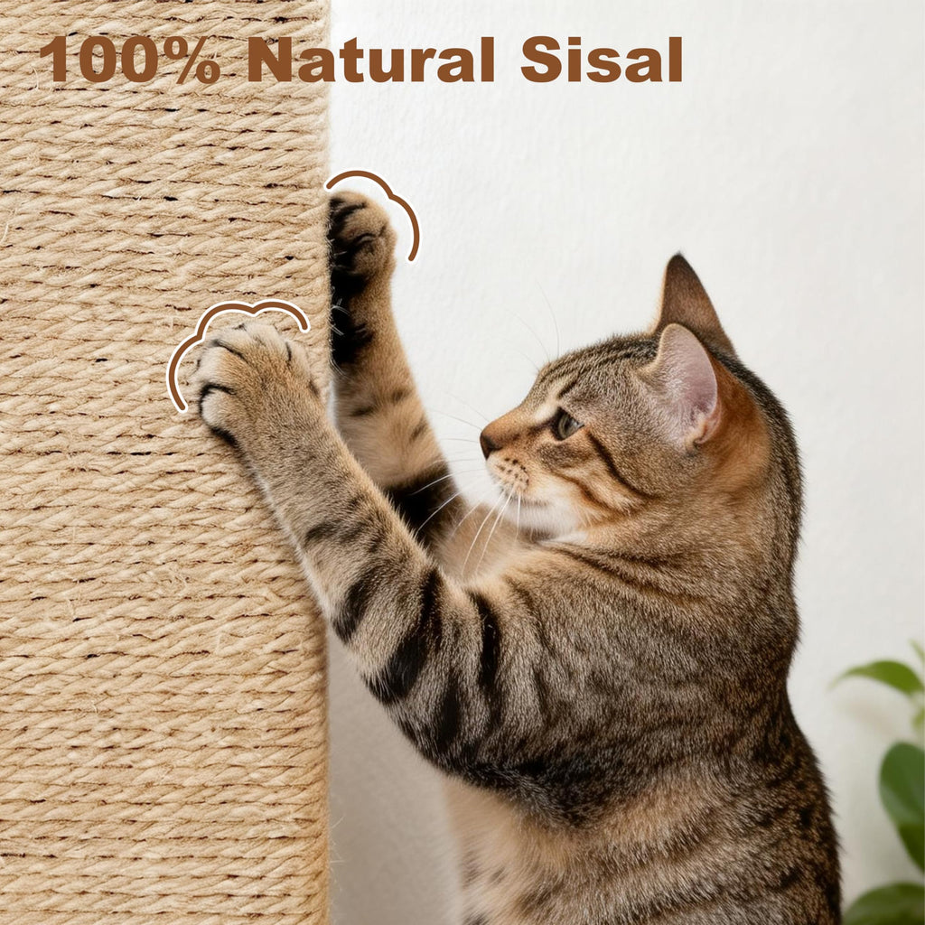 Tall Cat Scratching Post with Carpet T49145