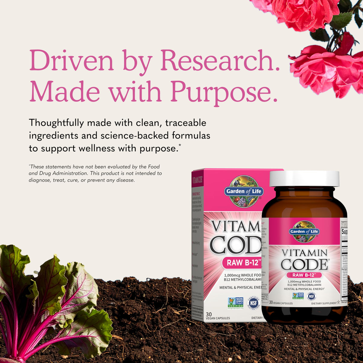 Vegan B-12 Methylcobalamin 30 Capsules H5574